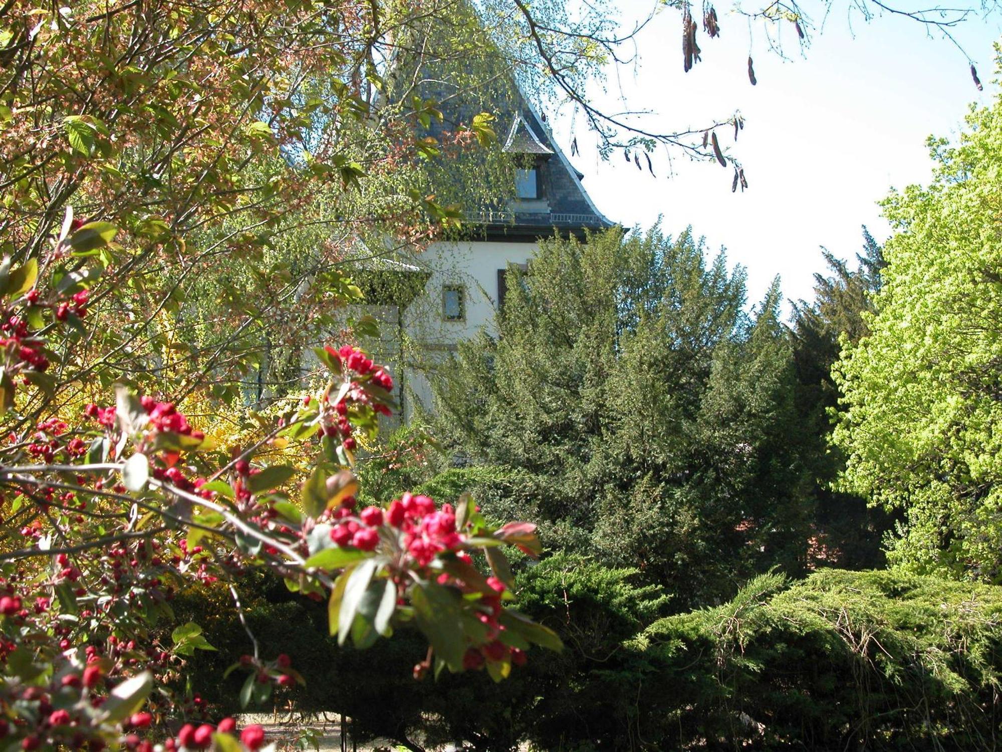 Domaine De Beaupre - Hotel The Originals Relais Guebwiller Exterior photo